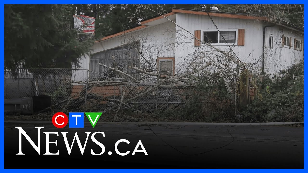 Storm cuts power to thousands of BC Hydro customers - YouTube