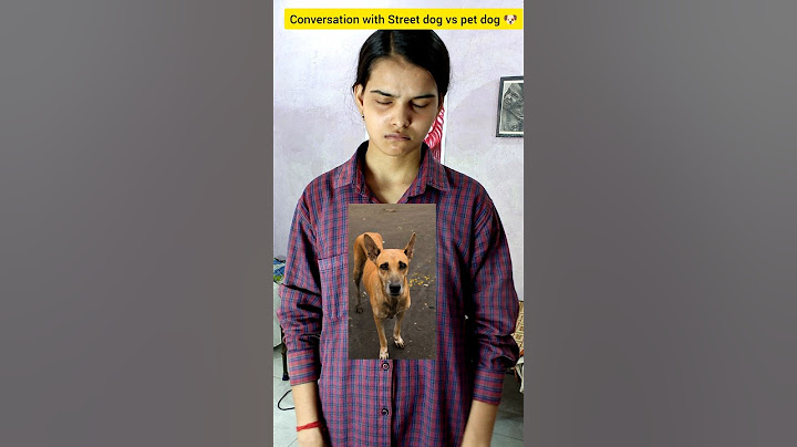 Conversation with street dog vs pet dog🐶| #shorts #trending #shortsfeed #siyanse