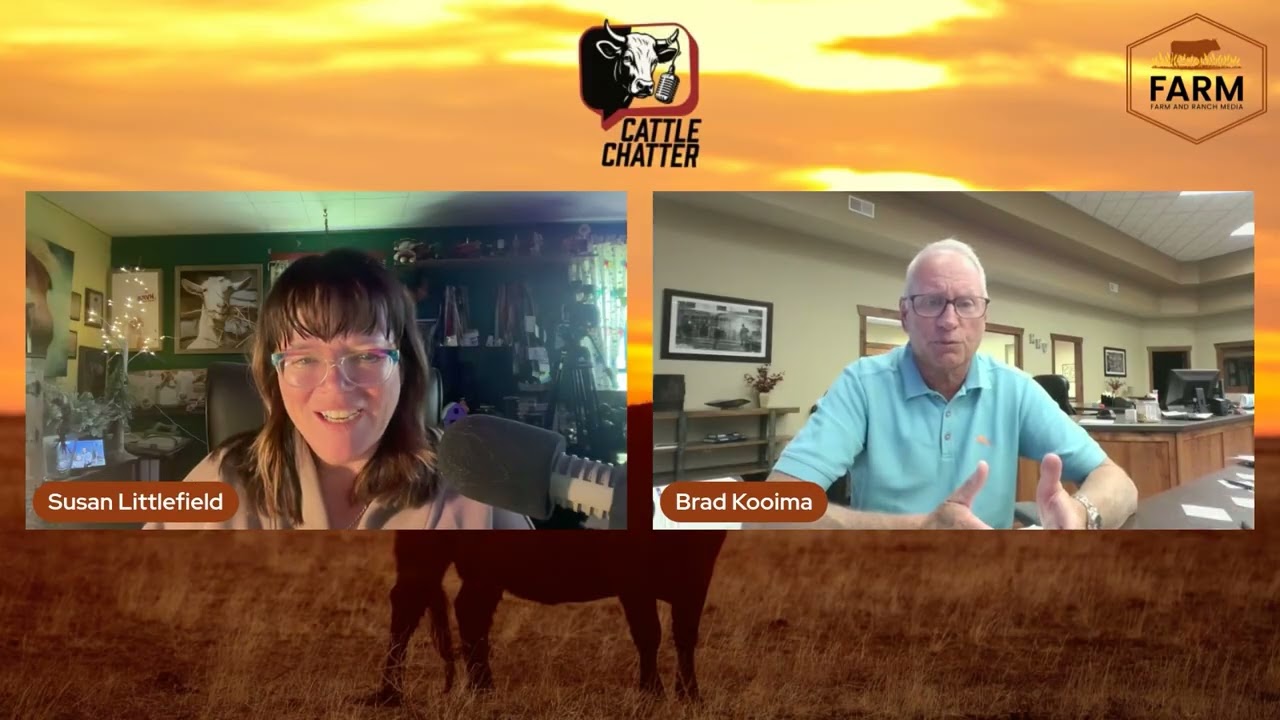 Interesting Market to Read | 9/4/25 Cattle Chatter Interesting Market to Read | 9/4/25 Cattle Chatter