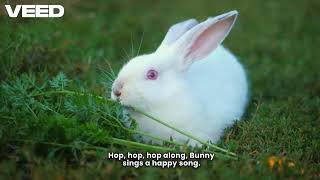 Bunny S Sunny Adventure Veed 1