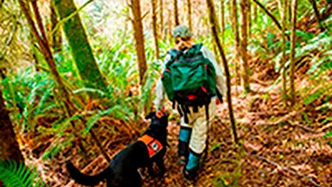 Right Under Our Noses: Dogs Moving Conservation Forward