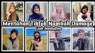 Mentahan TikTok Cewe Nambah Damage || Polosan Video Cewe Nambah Damage 30 detik || Quotes FF
