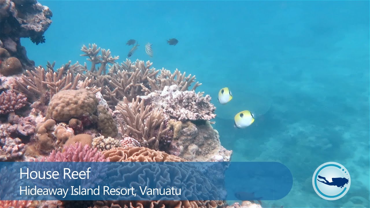 Hideaway Island Resort House Reef, near Port Vila, Vanuatu 