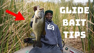 Struggling To Catch Fish On Glide Baits? Try These Tips And Tricks! Ft Manny Chee!