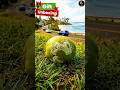 ভুল পথে চলে করেছি পাপ।#নারীকেল#Coconut#humanity#song#gojol #গজল #islamicsong #ইসলামিক_গজল #গজল_২০২৬