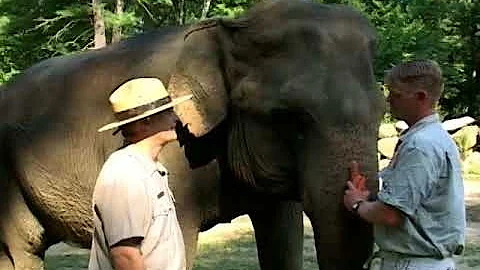 Along the Blackstone, Episode 56 - Favorite Ranger Tales of the Valley