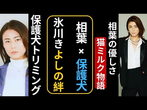 「氷川きよし×相葉雅紀 保護犬トリミングに感動✨ 有働由美子＆遠藤憲一は猫ボランティア」 #氷川きよし #相葉雅紀 #エンタメニュース