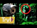 Face to Face With Bigfoot | Paranormal Caught on Camera | Travel Channel
