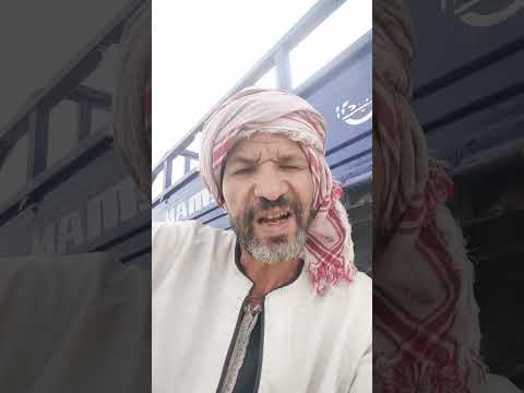 كبيرة يامصر 