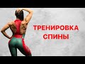 Полная Тренировок Спины/ Back Workout
