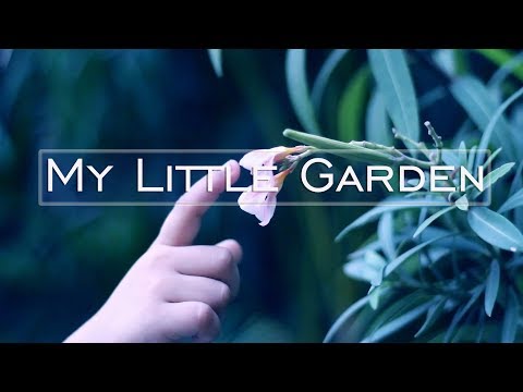 My Little Garden | HD | 2017