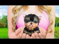 I Adopted The World's SMALLEST DOG!