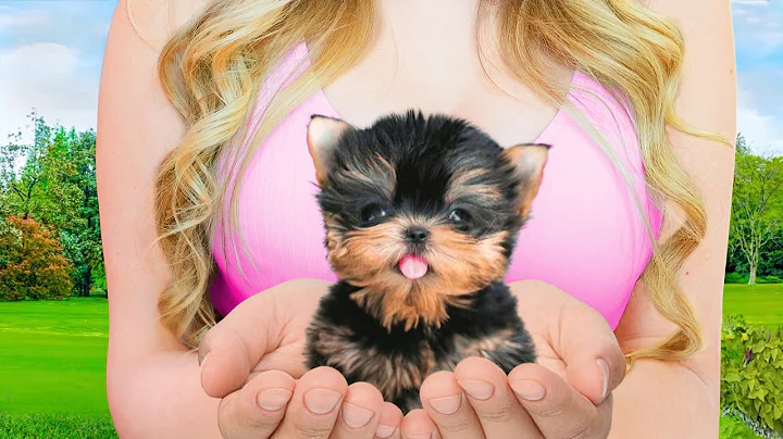 I Adopted The World's SMALLEST DOG!