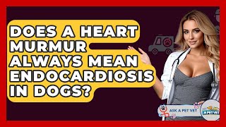 Does A Heart Murmur Always Mean Endocardiosis In Dogs? - Ask A Pet Vet