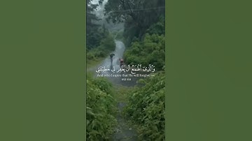 سورة الشعراء #قرآن #المصحف #اكسبلور #لايك #راحة_نفسية