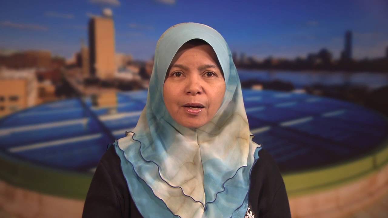 Converting Biomass to Energy: A Low Carbon Development Strategy for Malaysia