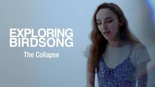 Exploring Birdsong - The Collapse (Official Music Video)