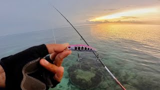 Mancing Casting di tubiran karang minnow warna ini Kesukaan ikan predator Mancing Casting di tubiran karang minnow warna ini Kesukaan ikan predator