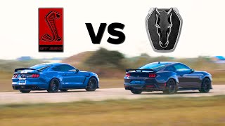 BATTLE OF THE V8's \/\/ 2024 Dark Horse Mustang vs. 2020 Shelby GT350R Mustang \/\/ Stock Comparison