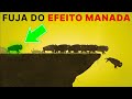 POR QUE você COMPRA TOPO e VENDE FUNDO?