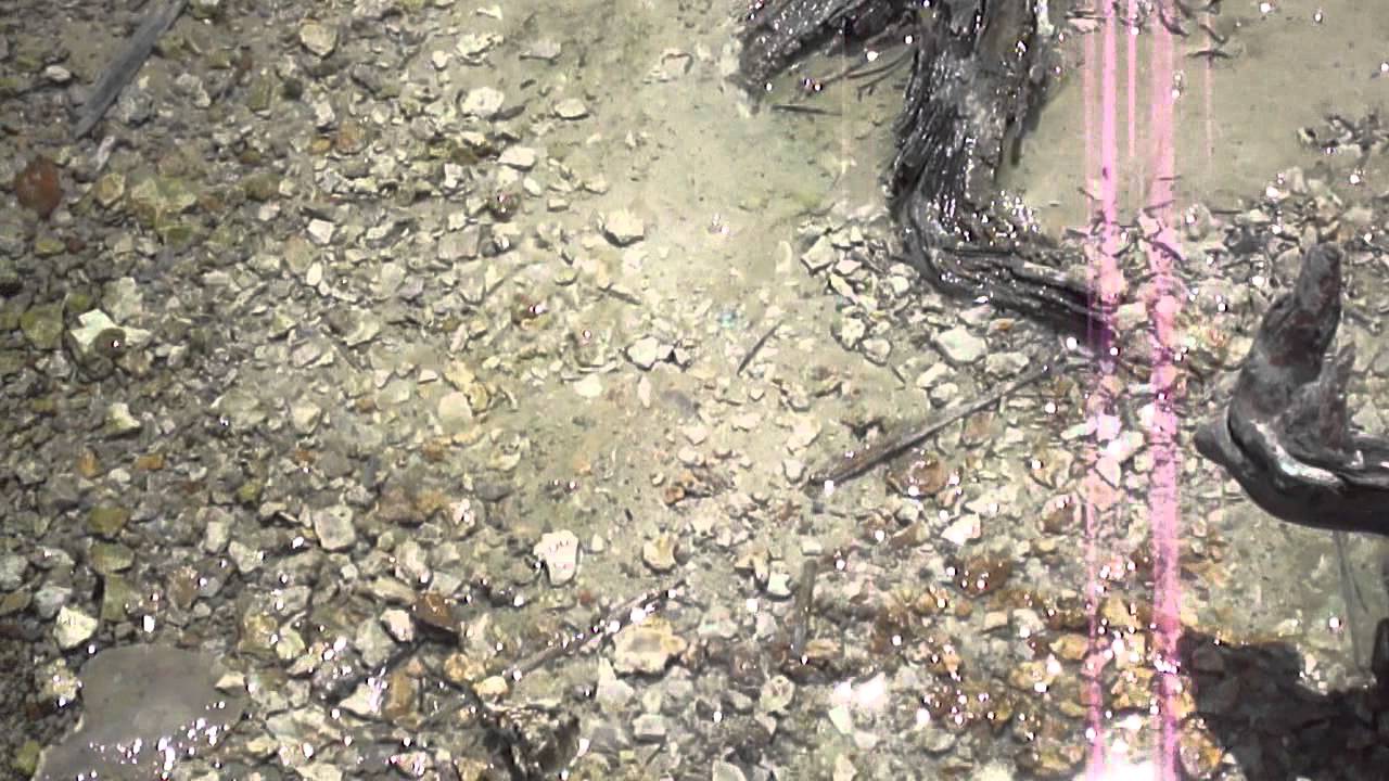 Yellowstone fumaroles