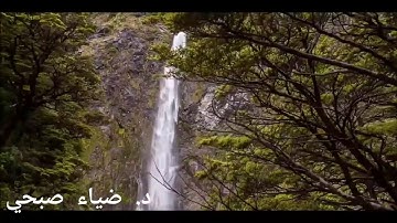ما تيسر من سورة الزمر ... د.ضياء صبحي ..