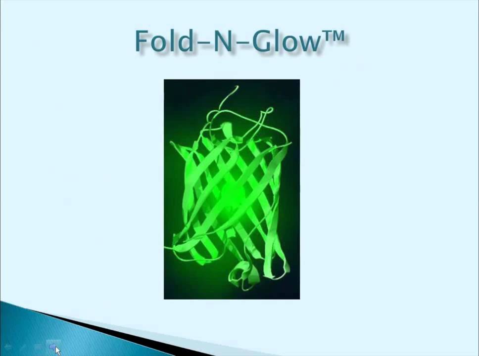 Sandia Bio's Split Fluorescent Protein and Peptide Analysis Tools Webinar