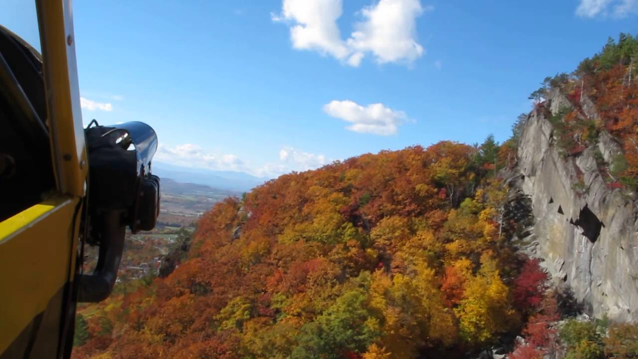 Fall foliage from the Piper Cub