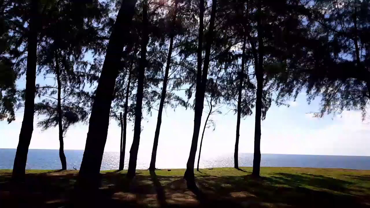 Pantai Sura Dungun Terengganu Youtube