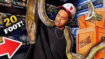 MY NEW 20 FOOT PYTHON!! 🐍 (Biggest Snake I’ve Ever Owned)