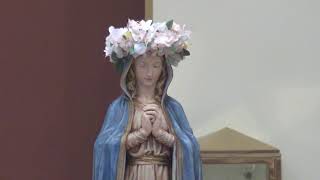 Mass of May 30: Saturday of the Eighth Week in Ordinary Time