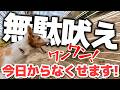 【徹底解説】「無駄吠え」は今日からなくせます|吠えの原因7つとやるべき対策【犬のしつけ】