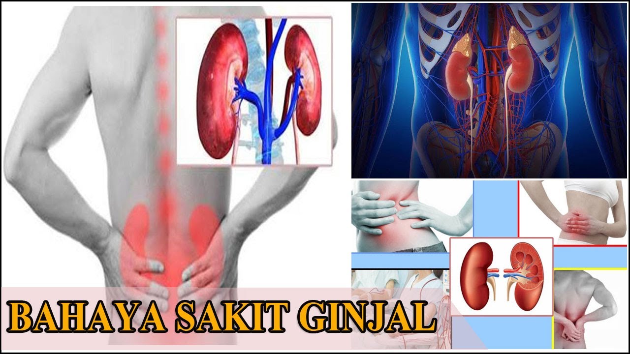 Ginjal.com Obat Ginjal.com Obat