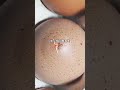みかんに矢を刺すとどうなるなか#実験
