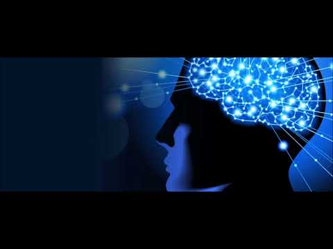 Video: Neuronska Mreža Bila Je Naučena Da 