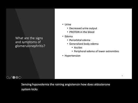 Video: Glomerulonephritis Katika Paka