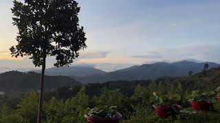 NIKAYA Thiền Quán - Nhìn Đời Bằng Thánh Trí & Tuệ Giác Kim Cương *