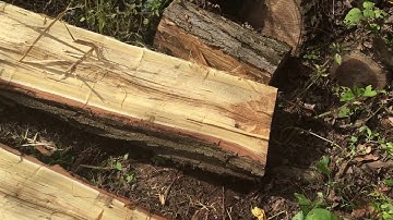 Locust post splitting Pt 4
