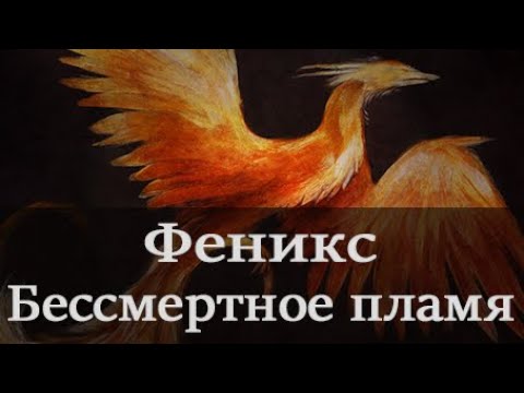 Феникс: легенда о бессмертной птице