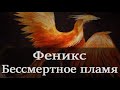 Феникс легенда о бессмертной птице