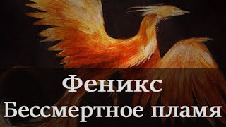 Феникс: легенда о бессмертной птице