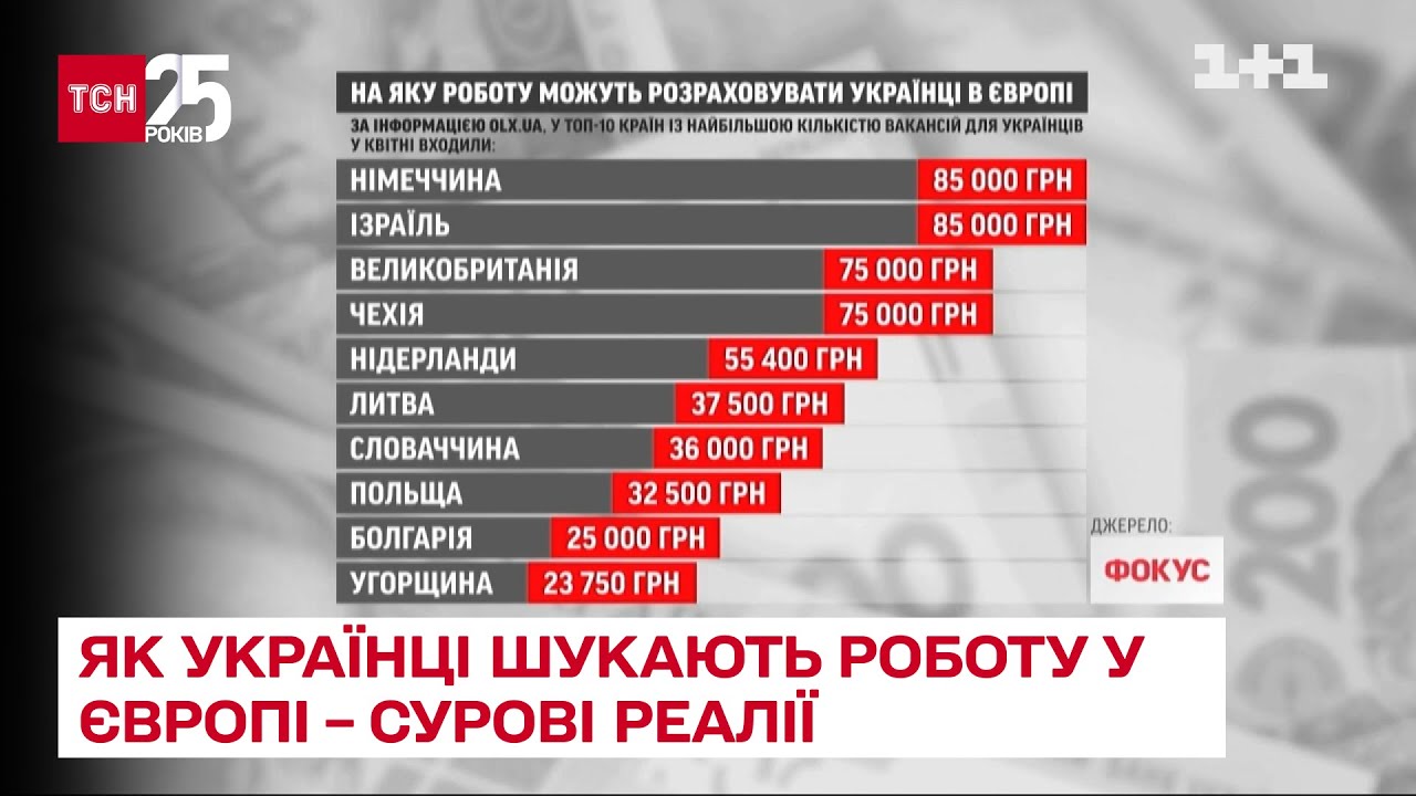 От мытья полов до работы врачом - как украинцы ищут работу в Европе