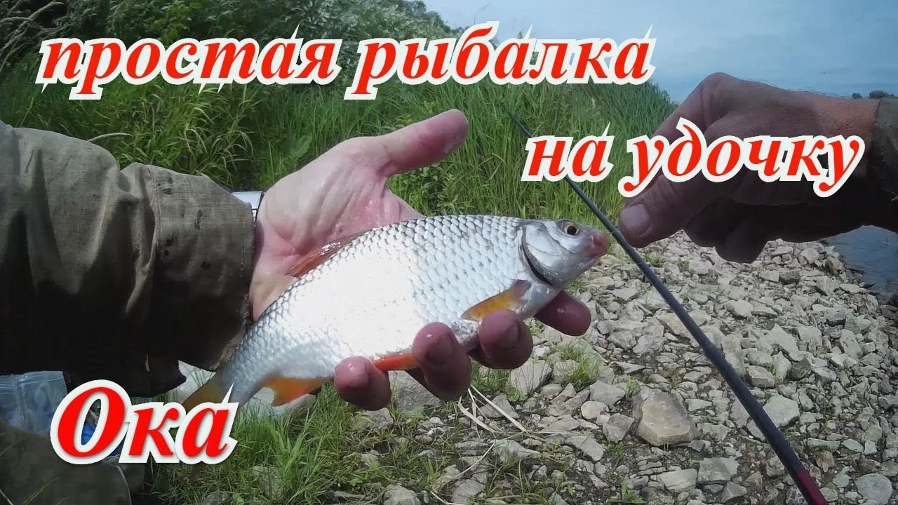 Простая рыбалка афонин