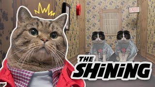 Come Play With Us - The Shining with Cats