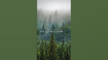 سورة قريش -  بصوت الشيخ أحمد العجمي