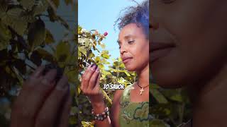 This One Trick Will Change Everything! #shorts