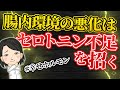 腸は第二の脳！メンタルは腸内細菌に支配されている？｜脳内ホルモン④