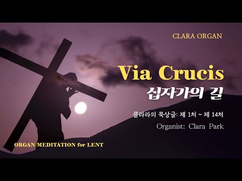 영상썸네일