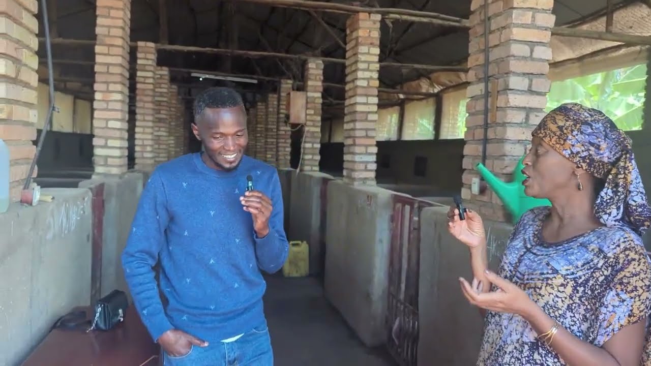 🌍 Yavuye i Burayi ✈️ Aza Korora Ingurube mu Rwanda🐖 | Ingurube 5 Zavuyemo Ubworozi Bukomeye 🚀💰