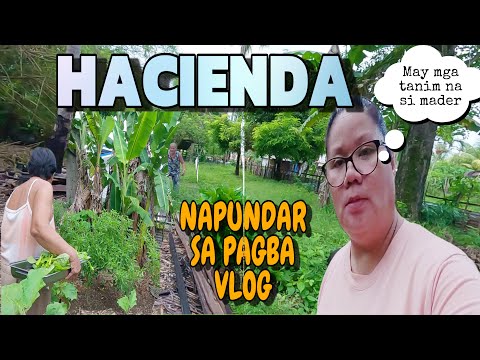 ANG HACIENDA PUNDAR KO SA PAGBA VLOG/team grass